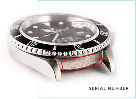 rolex replica 15.88|Rolex serial number lookup.